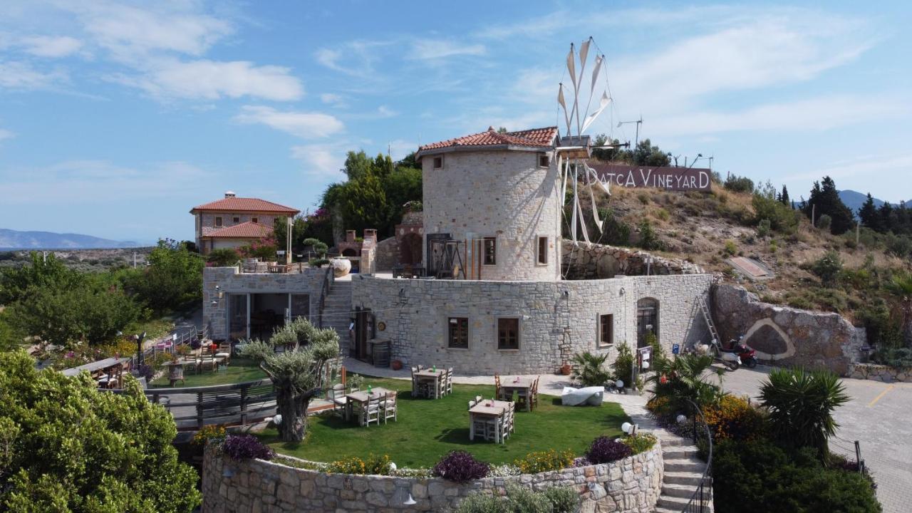 datça vineyard